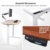 Flexispot E2B Höhenverstellbarer Schreibtisch Elektrisch höhenverstellbares Tischgestell, passt für alle gängigen Tischplatten. Mit Memory-Steuerung und Softstart/-Stop. (Tischgestell-2 Fach Schwarz) - 4
